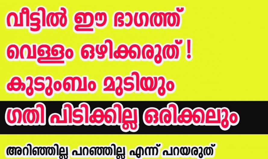 നിങ്ങൾ ഈ സ്ഥാനത്ത് അഴുക്ക് ജലമോ വെള്ളമോ ഒഴിക്കാറുണ്ടോ എന്നാൽ തീർച്ചയായും നിങ്ങൾ അറിഞ്ഞിരിക്കുക