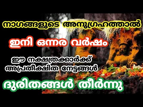 നിങ്ങളുടെ വീട്ടിലേക്ക് സർവസൗഭാഗ്യങ്ങൾ വരുന്നു അതും ഈ രാശിക്കാർക്ക്