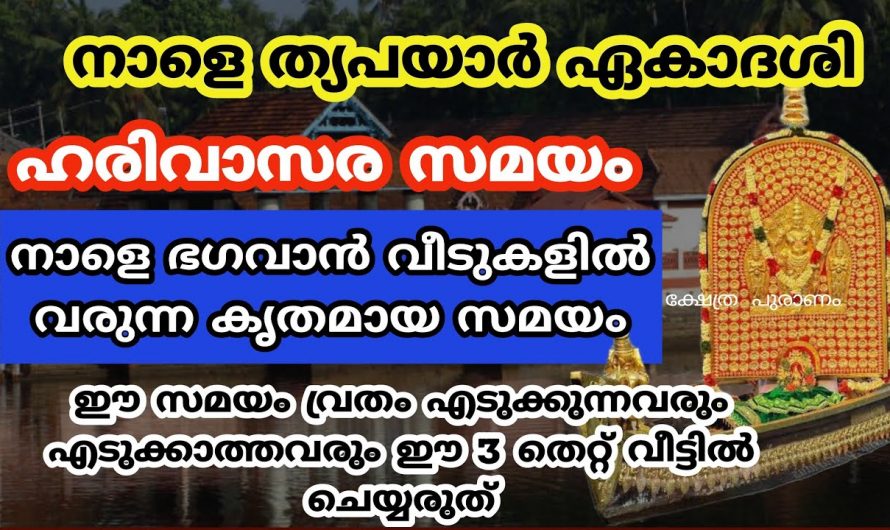 തൃപ്രയാർലെ ഏകദശി നിങ്ങൾക്കറിയാമോ എന്നാൽ തീർച്ചയായും അറിഞ്ഞിരിക്കേണ്ട ചില കാര്യങ്ങൾ