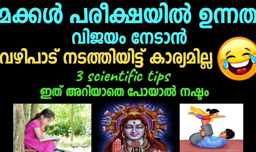 നിങ്ങളുടെ മക്കളുടെ ജീവിതത്തിൽ ഉയർച്ചകൾ നേടണ്ടോ എന്നാൽ ഇങ്ങനെയൊന്ന് പ്രാർത്ഥിച്ചു നോക്കു