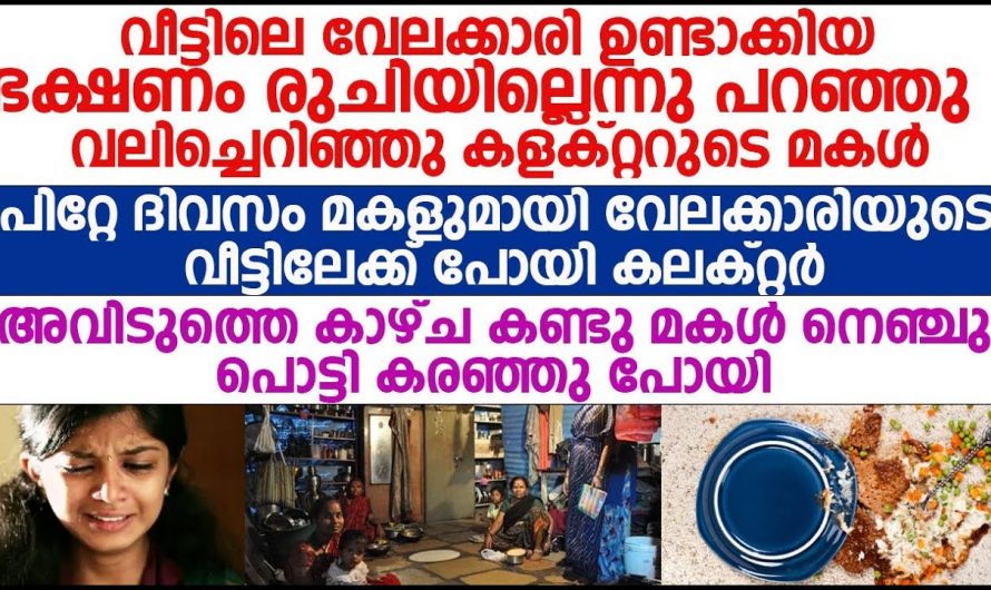 ഇഷ്ടപ്പെട്ട കറി ഉണ്ടാക്കിയില്ല എന്ന് പറഞ്ഞുകൊണ്ട് ആ വേലക്കാരിയെ അവർ ചെയ്തത് കണ്ടോ