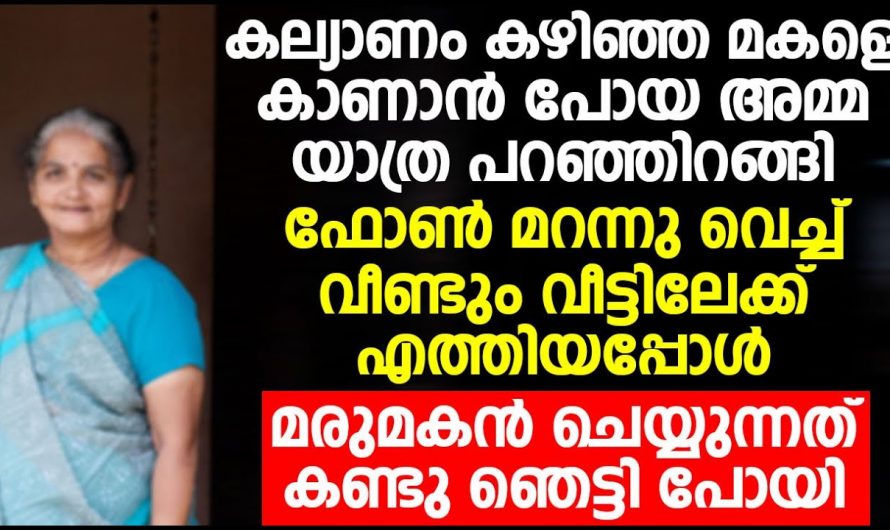 മകളുടെ വീട്ടിലേക്ക് മകളെ കാണാൻ പോയതായിരുന്നു അമ്മ പക്ഷേ സംഭവിച്ചത് കണ്ടോ