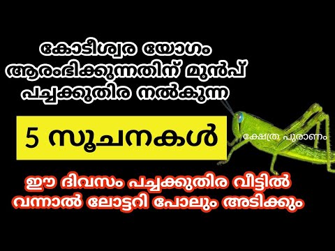 നിങ്ങളുടെ വീട്ടിലേക്ക് ഈ ജീവി വിരുന്നിനായി വരുന്നുണ്ടോ എന്നാൽ തീർച്ചയായും അറിഞ്ഞിരിക്കുക