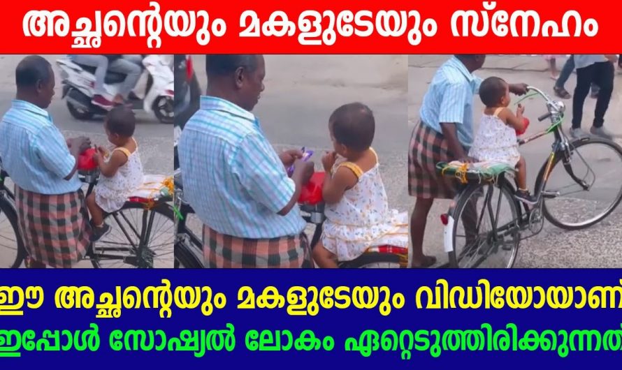 ചില കാഴ്ചകൾ അങ്ങനെയാണ് നഷ്ടപ്പെട്ടുപോയ ചില സന്തോഷങ്ങൾ തിരികെ പിടിക്കാൻ അത്തരം ചില കാഴ്ചകൾ നല്ലതാണ്