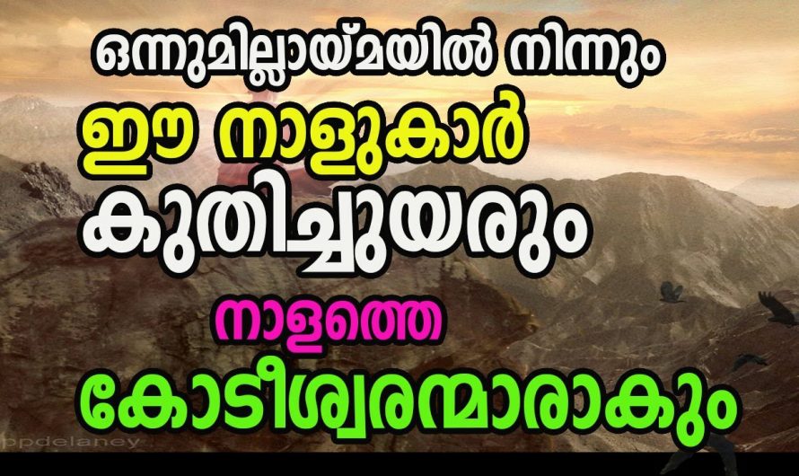 ജീവിതത്തിൽ വലിയ നേട്ടങ്ങൾ കൈ വരാൻ പോകുന്ന ചില നക്ഷത്രക്കാർ