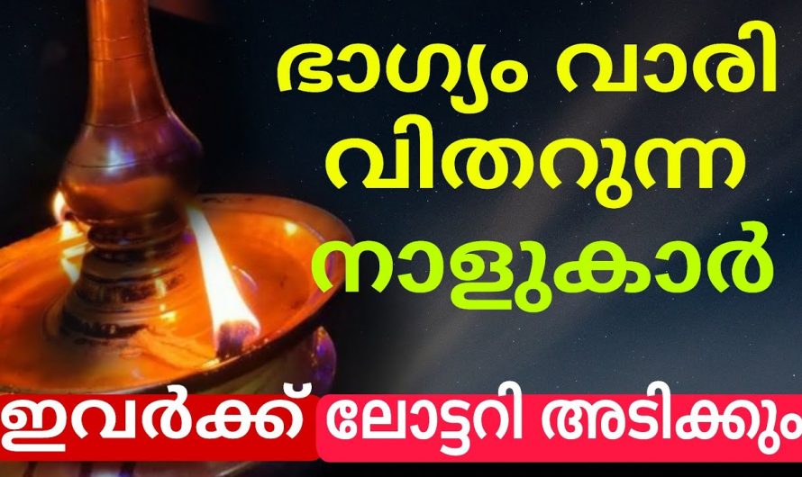 ഇവയിൽ വന്നു കയറിയാൽ സൗഭാഗ്യം വന്നുചേരും എന്നുള്ളത് ഉറപ്പാണ്