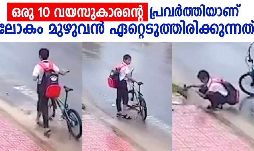 ഒരുപാട് പേർ ആ വഴിയിലൂടെ പോയിട്ടും അത് ചെയ്തില്ല പക്ഷേ ആ മിടുക്കൻ ചെയ്തത് കണ്ടോ