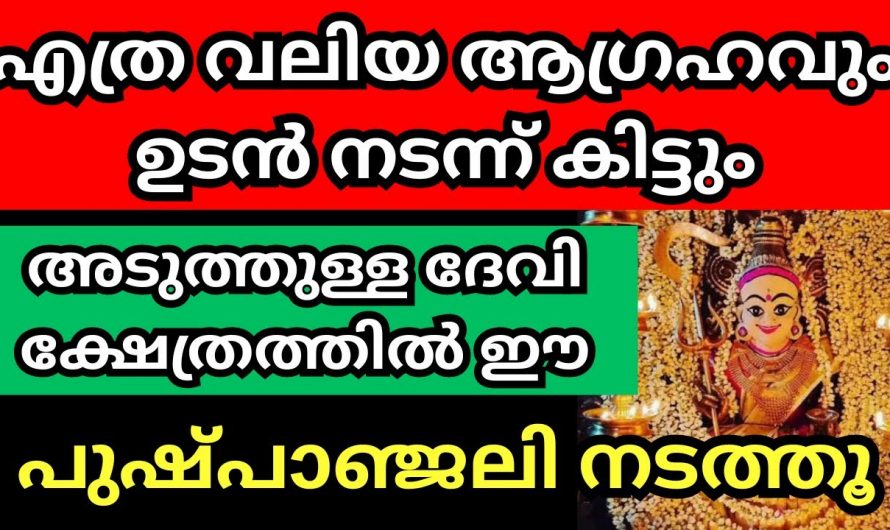 നിങ്ങളുടെ ജീവിതത്തിൽ സൗഭാഗ്യങ്ങൾ കുമിഞ്ഞു കൂടണമെങ്കിൽ അടുത്തുള്ള ദേവി ക്ഷേത്രത്തിൽ ഇങ്ങനെ ചെയ്യുക