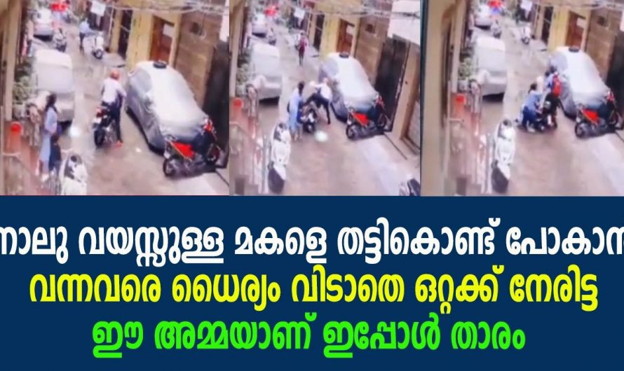 സുരക്ഷയില്ലാത്ത ഈ ലോകത്ത് കുട്ടികൾ എന്തുചെയ്യണം സ്വന്തം മാതാവിന്റെ അടുത്തുനിന്ന് തട്ടിക്കൊണ്ടു പോകാൻ ശ്രമിച്ച കുഞ്ഞിന് സംഭവിച്ചത് കണ്ടോ