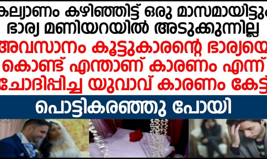 വിവാഹം കഴിഞ്ഞ് ഒരു മാസമായി പക്ഷേ ഇന്നേവരെ അവൾ അവനെ ശരീരത്തിൽ തൊടാൻ അനുവദിച്ചില്ല പക്ഷേ പിന്നിലുള്ള സംഭവം അറിഞ്ഞാൽ നിങ്ങൾ ഞെട്ടും