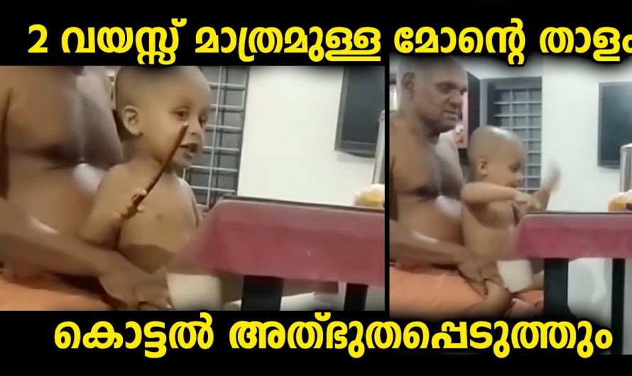 ഈ കൊച്ചു കുട്ടിയുടെ പാട്ടിനൊപ്പം താളം പിടിക്കുന്നത് കണ്ടുകഴിഞ്ഞാൽ നിങ്ങൾ വരും ഞെട്ടും