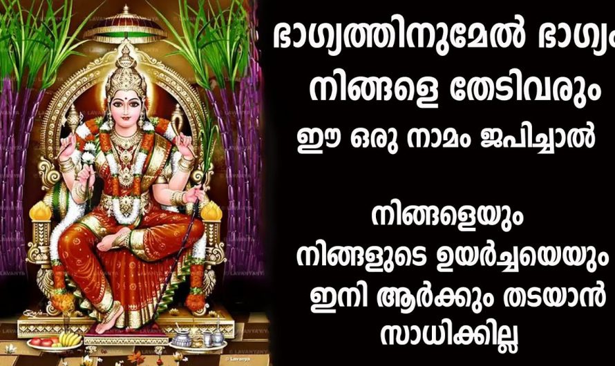 നിങ്ങളുടെ ജീവിതത്തിലെ ഒരുപാട് ഉയർച്ചകൾ നേടണമെന്നുണ്ടെങ്കിൽ തീർച്ചയായും ഇങ്ങനെ പ്രാർത്ഥിച്ചു നോക്കൂ