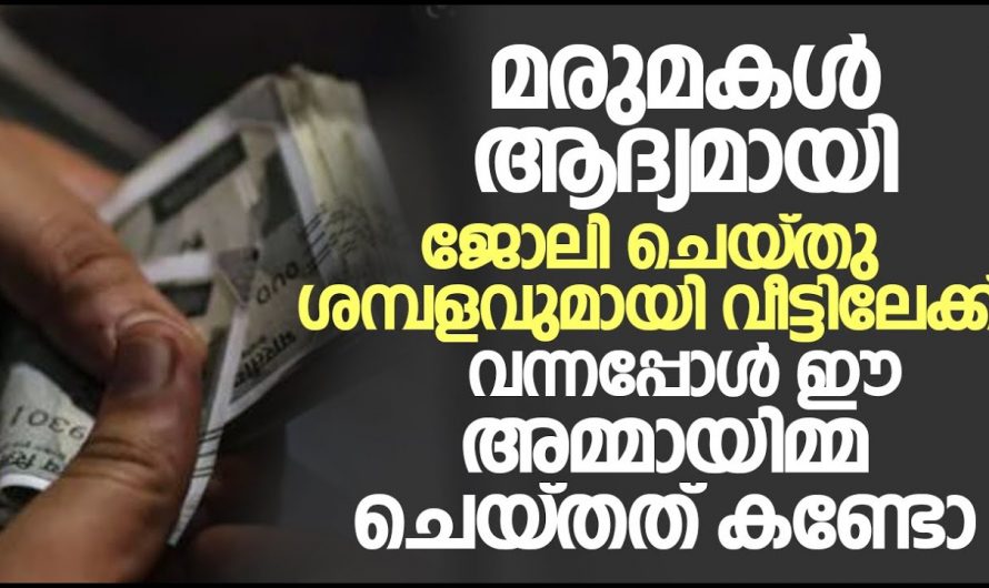 ആദ്യത്തെ ശമ്പളം ഭർത്താവിന്റെ വീട്ടിലേക്ക് കൊടുത്തപ്പോൾ അവർ ചെയ്തതു കണ്ടോ