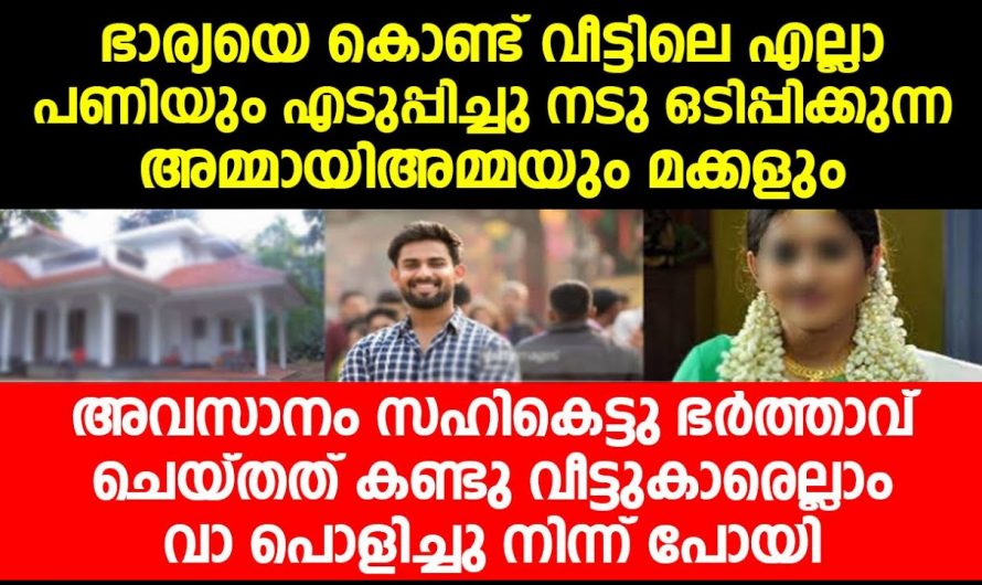 ജോലിയില്ലാത്ത മരുമകളെ കൊണ്ട് വീട്ടുജോലി എടുപ്പിച്ച അമ്മായമ്മയ്ക്ക് സംഭവിച്ചത് കണ്ടോ