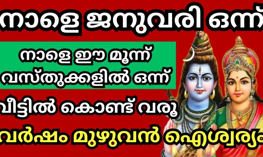 പുതുവത്സരം പിറക്കാൻ പോകുന്ന ഈ ഒരു ദിവസം നിങ്ങൾ ഇത്തരത്തിലുള്ള സാധനങ്ങൾ വീട്ടിലേക്ക് കൊണ്ടുവരൂ തീർച്ചയായും ഐശ്വര്യം ഉറപ്പാണ്