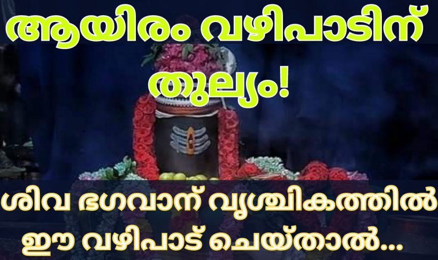 നിങ്ങളുടെ ജീവിതത്തിൽ വലിയ അത്ഭുതങ്ങൾ കാണണമെങ്കിൽ ഈ ഒരു വഴിപാട് ചെയ്തു നോക്കൂ