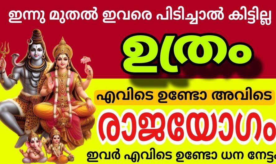 നിങ്ങൾ ഉത്രം നക്ഷത്രക്കാരാണെങ്കിൽ തീർച്ചയായും അറിഞ്ഞിരിക്കുക ഇത് തീർച്ചയായും നിങ്ങളുടെ ജീവിതത്തിൽ ഉണ്ടാവുക തന്നെ ചെയ്യും