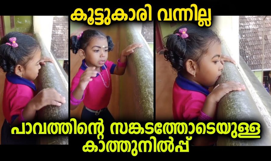 ഏറ്റവും നല്ല സുഹൃത്തിനെ കിട്ടുക എന്നുള്ളതാണ് ഏറ്റവും വലിയൊരു ഭാഗ്യം പക്ഷേ ഇവിടെ സംഭവിച്ചത് കണ്ടോ