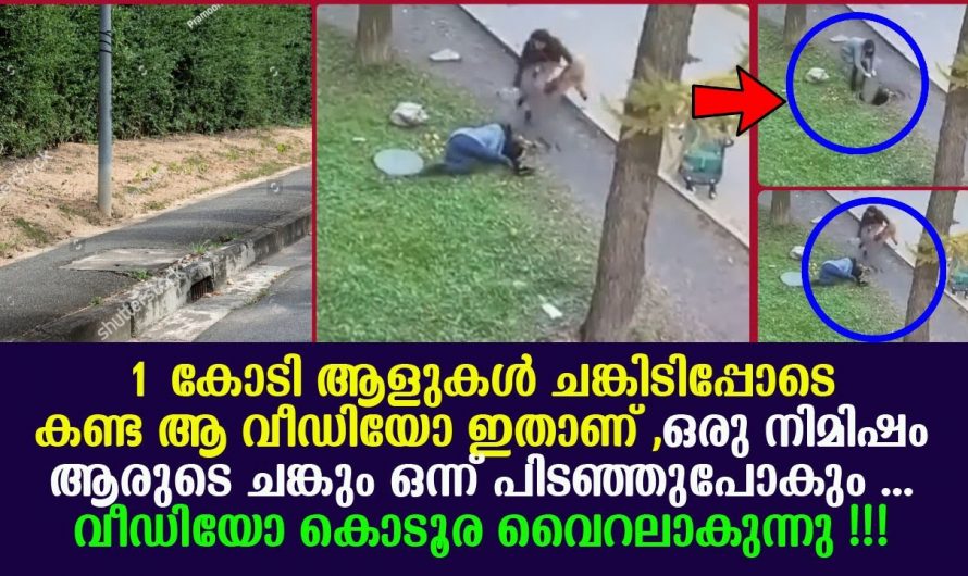 മരണം തേടിയെത്തിയ കുഞ്ഞിനെ രക്ഷിച്ച് ജീവിതത്തിലേക്ക് കൊണ്ടുവന്ന അമ്മയെ കണ്ടോ