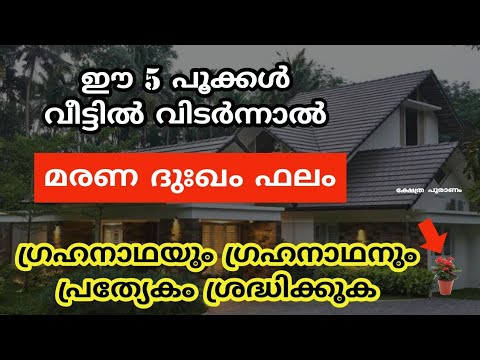 നിങ്ങളുടെ ജീവിതത്തിലേക്ക് കഷ്ടകാലം വരുന്നതിനു മുൻപ് തന്നെ ഇത്തരം ലക്ഷണങ്ങൾ കാണാവുന്നതാണ്