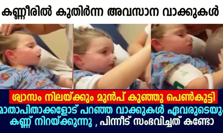 ചിലരുടെ ജീവിതം ഇങ്ങനെയാണ് പാലിവഴിക്ക് ഇല്ലാതാകുന്നു ആ കുഞ്ഞു ജീവൻ പോയതും പിന്നീട് സംഭവിച്ചതും നിങ്ങൾ കണ്ടാൽ ഞെട്ടും