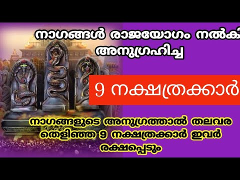 ഈയൊരു പുതുവർഷത്തിൽ നാഗങ്ങളുടെ അനുഗ്രഹം കൂടുതൽ ലഭിച്ചിട്ടുള്ളത് ഈ നക്ഷത്രക്കാരാണ്