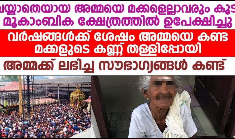 നഷ്ട പ്രണയം അത് ചിലപ്പോൾ അമ്പലനടക്ക അവളെ കണ്ടതുകൊണ്ടാണ് പഴയ  കാര്യങ്ങളെല്ലാം അവൻ ഓർത്ത് എടുത്തു