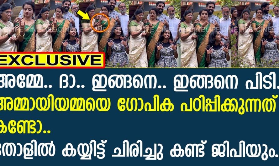 വിവാഹം കഴിഞ്ഞ് രണ്ട് ദിവസം ആയുള്ളൂ ഗോപിക അമ്മായിയമ്മയെ പഠിപ്പിക്കുന്നത് കണ്ടോ