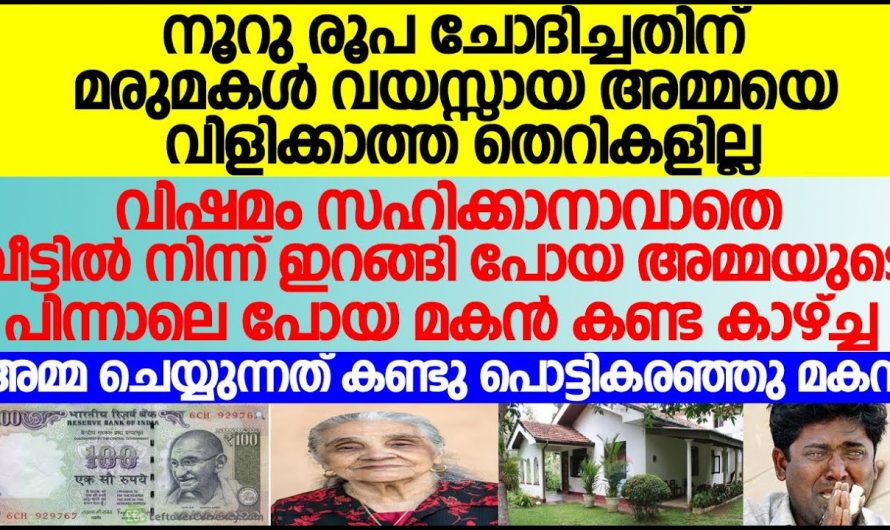 കഷ്ടപ്പെട്ട് വളർത്തിയ അമ്മയുടെ സങ്കടം കാണാൻ ആ മകന് നേരമില്ല പക്ഷേ അവസാനം അവർക്ക് സംഭവിച്ചത് കണ്ടോ