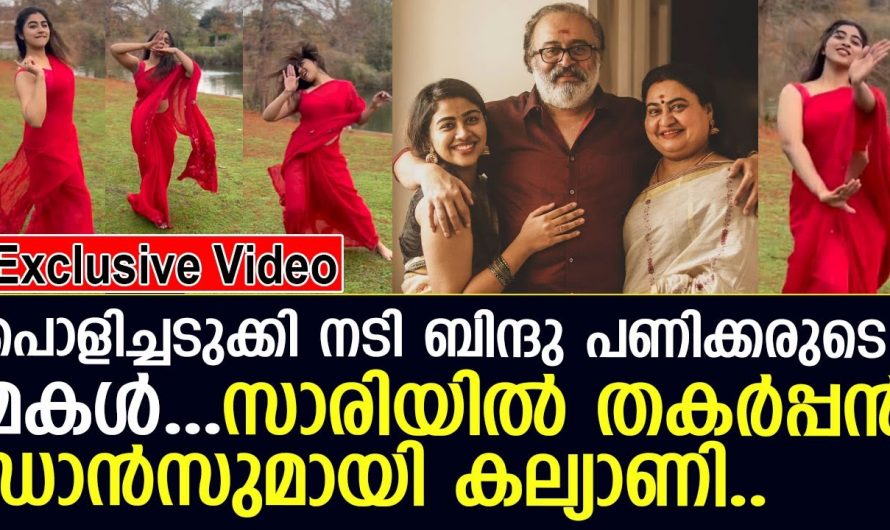 സിനിമയിലേക്ക് ഉണ്ടോ എന്ന ചോദ്യത്തിന് ഇതുവരെ മറുപടിയില്ല എന്നാൽ കല്യാണിയുടെ ഇപ്പോഴത്തെ സോഷ്യൽ ലെവൽ കണ്ടോ