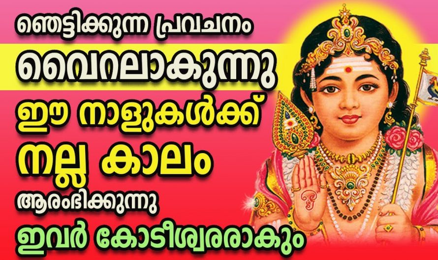 ഈ പറയാൻ പോകുന്ന നക്ഷത്രക്കാരുടെ ജീവിതത്തിൽ നേടാൻ പോകുന്നത് വലിയ നേട്ടങ്ങൾ