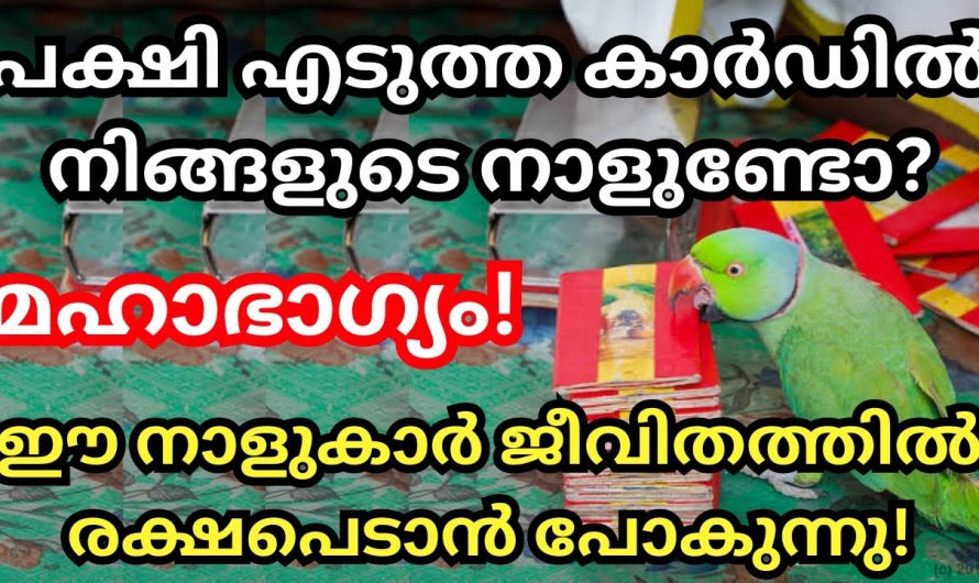 ഈ കൂട്ടത്തിൽ നിങ്ങളുടെ നക്ഷത്രവും കാണാനുണ്ടോ, എങ്കിൽ സംഭവിക്കാൻ പോകുന്നത് മുൻകൂട്ടി അറിയാം