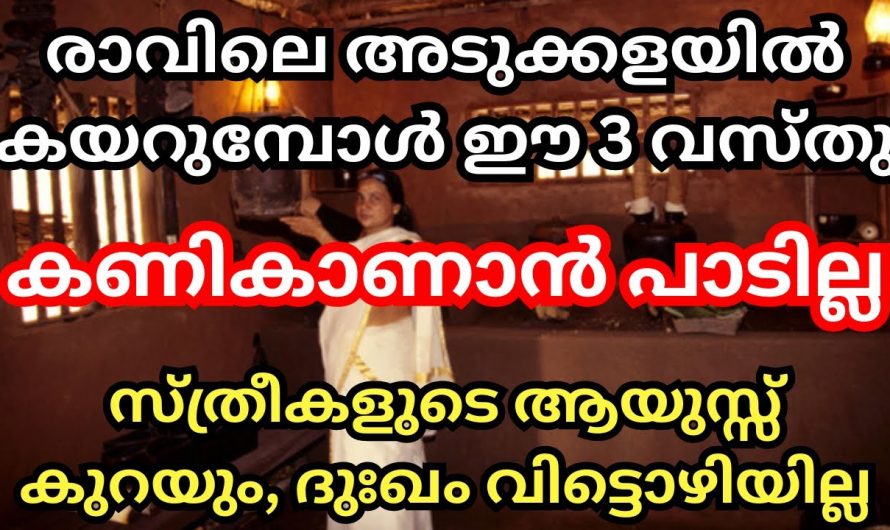 നിങ്ങളുടെ അടുക്കളയിൽ ഇത്തരത്തിലുള്ള ലക്ഷണങ്ങൾ കണ്ടാൽ തീർച്ചയായും സൂക്ഷിക്കുക