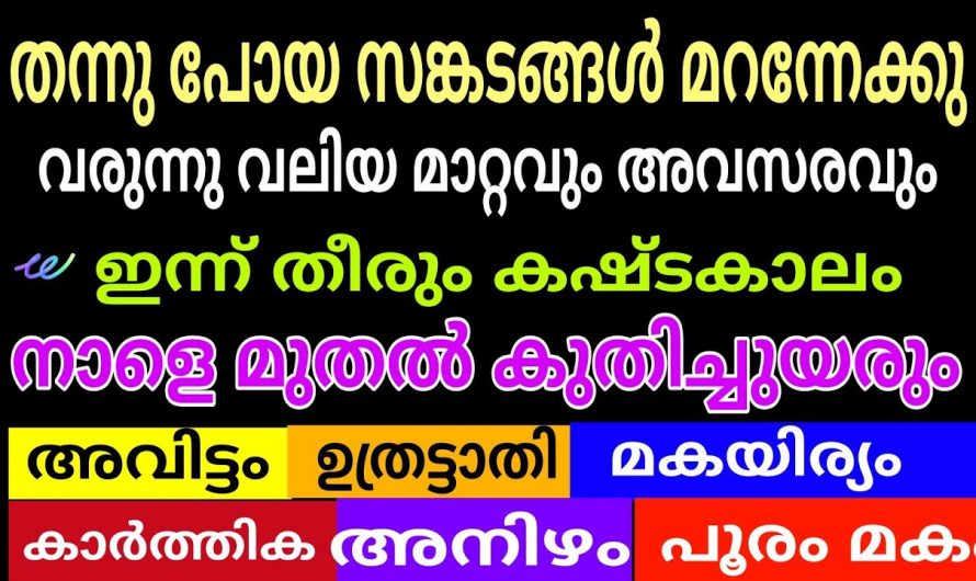 മറ്റുള്ളവർ കണ്ടാൽ അസൂയപ്പെടും വിധം ഇവരുടെ ജീവിതം മാറിമറിയാൻ പോകുന്നു. ഭാഗ്യം കടന്നുവരുന്ന നക്ഷത്രക്കാരെ നോക്കൂ.