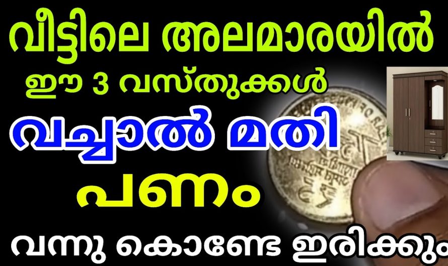 സാമ്പത്തിക ഉയർച്ചയ്ക്ക് ഈ മൂന്നു വസ്തുക്കൾ അലമാരയിൽ സൂക്ഷിച്ചാൽ മതി. പിന്നെ നിങ്ങൾക്ക് തിരിഞ്ഞുനോക്കേണ്ടി വരില്ല.