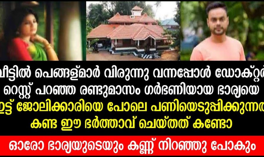 ആ ഗർഭിണിയായ ഭാര്യയെ വേലക്കാരിയെ പോലെ പണിയെടുപ്പിക്കുന്നത് കണ്ട് ഭർത്താവ് ചെയ്തത് കണ്ടോ. ഇങ്ങനെ വേണം ഭർത്താവായാൽ.