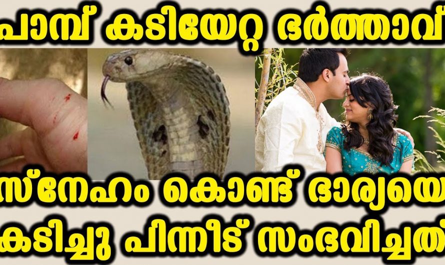 പാമ്പുകടിയേറ്റ ഭർത്താവ് മരിക്കുന്നതിനു മുൻപ് ഭാര്യയെ കടിച്ചു. പിന്നീട് സംഭവിച്ചത് കണ്ടോ.