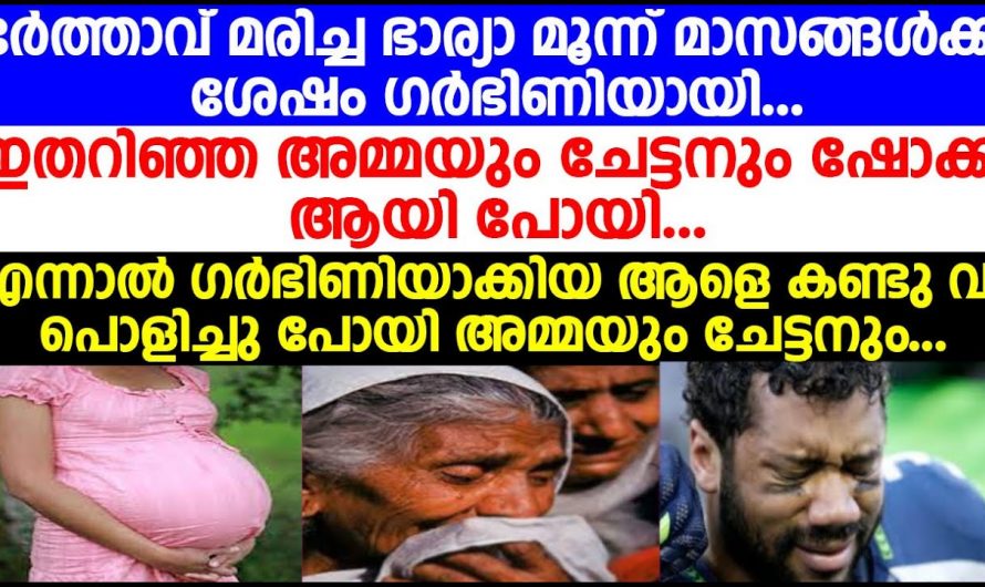 ഭർത്താവ് മരിച്ച ഭാര്യ  വീട്ടുകാർ ചെയ്തത് കണ്ടോ. ഏതൊരു അമ്മയുടെയും കണ്ണ് നിറഞ്ഞു പോകും ഇത് കേട്ടാൽ.