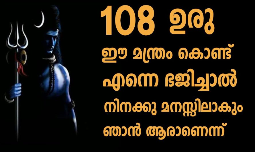 ഈ മന്ത്രം നിത്യവും ജപിച്ച് ഭഗവാനെ പ്രാർത്ഥിച്ചാൽ ജീവിതത്തിൽ സംഭവിക്കുന്നത് ഞെട്ടിക്കുന്ന മാറ്റങ്ങൾ ആയിരിക്കും. കാണാതെ പോകല്ലേ.