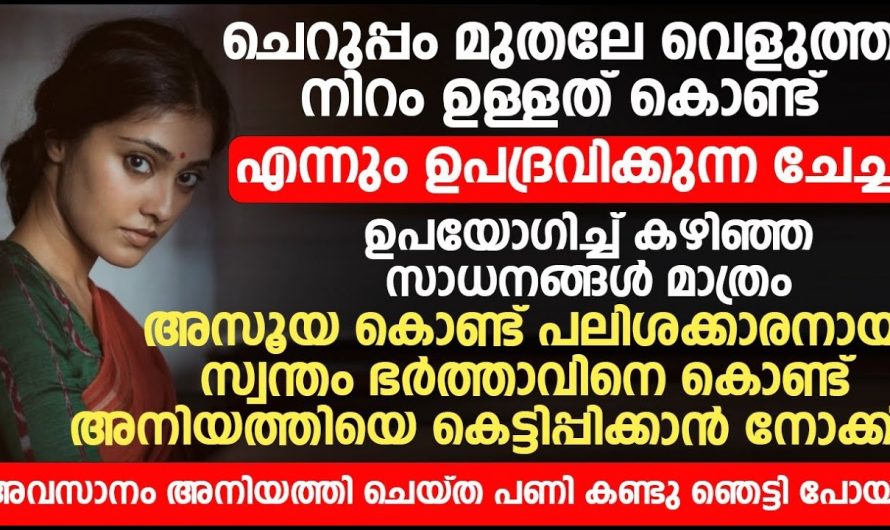 പണക്കാരനായ തന്റെ ഭർത്താവിനെ കൊണ്ട് അനിയത്തിയെ വിവാഹം കഴിപ്പിക്കാൻ ശ്രമിക്കുന്ന ചേച്ചി ഒടുവിൽ സംഭവിച്ചത് കണ്ടോ.