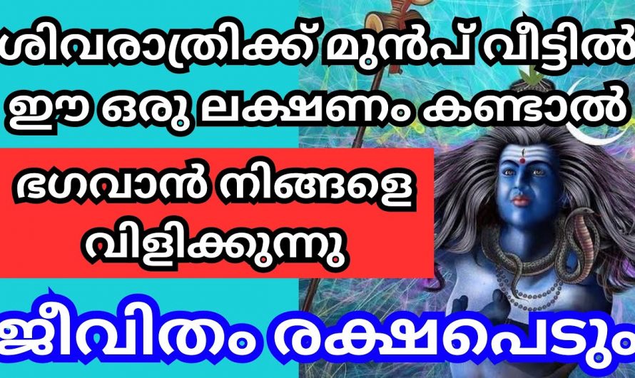 ശിവരാത്രിക്ക് മുൻപ് ഈ ലക്ഷണങ്ങൾ കണ്ടാൽ ഉടനെ ക്ഷേത്രത്തിൽ പോകു. നിങ്ങളെ കാത്തിരിക്കുന്നു.