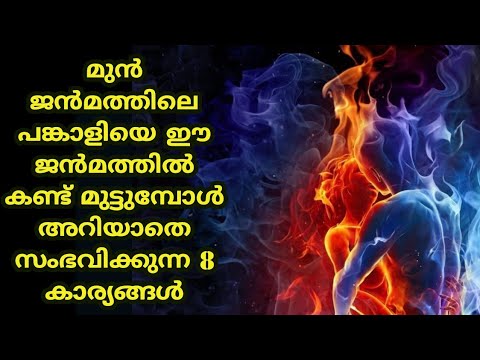 മുൻജന്മത്തിലെ ജീവിതപങ്കാളിയെ ഈ ജന്മത്തിൽ കണ്ടാൽ ഉണ്ടാകുന്ന പ്രധാന ലക്ഷണങ്ങൾ. ഇതുപോലെ അനുഭവപ്പെട്ടിട്ടുണ്ടോ.