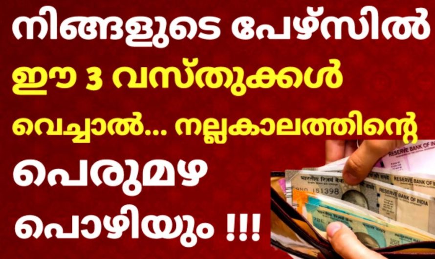 പേഴ്സിനകത്ത് ഈ വസ്തുക്കൾ വെച്ചാൽ പണം ഇരട്ടി മടങ്ങായി തിരിച്ചുകിട്ടും.