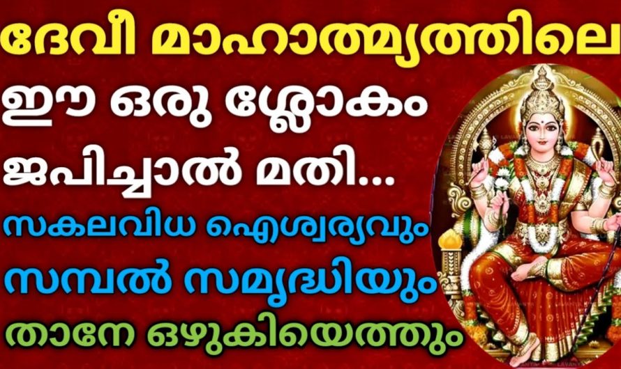 ദിവസത്തിൽ ഒരു പ്രാവശ്യം ദേവി മാഹാത്മ്യം ഇതുപോലെ ജപിച്ചാൽ സകല കഷ്ടതകളും അതോടെ തീരും.