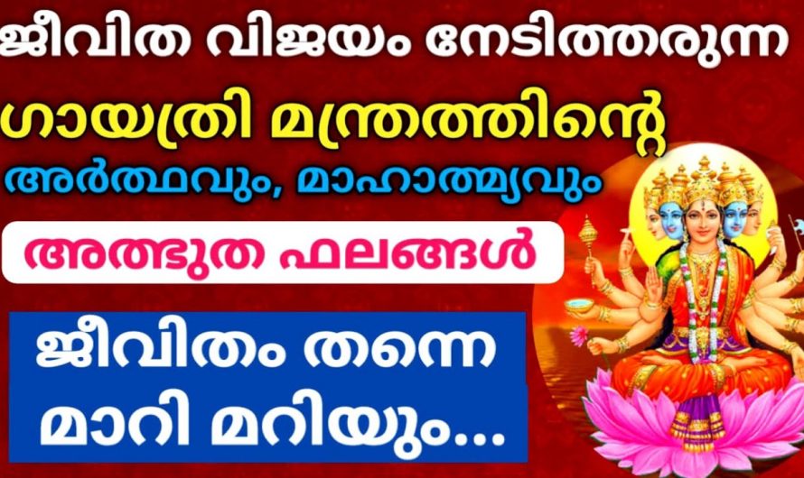 ജീവിതവിജയം നേടിയെടുക്കാൻ ഗായത്രി മന്ത്രം ദിവസവും ഇതുപോലെ ചൊല്ലൂ. ഇതിന്റെ അത്ഭുത ഫലങ്ങൾ അറിയേണ്ടേ.