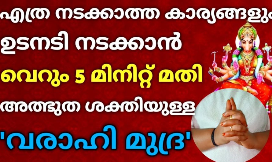 എല്ലാ കഷ്ടതകളിൽ നിന്നും നിങ്ങളെ അകറ്റും അതീവ ശക്തിയാർന്ന വരാഹി മുദ്ര. ഇതുപോലെ ചെയ്യൂ.