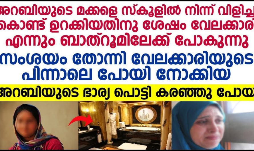 വീട്ടുകാർക്ക് വേണ്ടി സ്വന്തം ജീവിതം പോലും പണയം വെച്ച് കഷ്ടപ്പെട്ട ചേച്ചിക്ക് ഒടുവിൽ അനിയത്തി കൊടുത്ത സമ്മാനം കണ്ടോ.