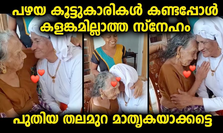 ഈ സൗഹൃദത്തിന് പകരം വയ്ക്കാൻ ലോകത്തിൽ മറ്റൊന്നിനും തന്നെ സാധിക്കില്ല. വർഷങ്ങൾക്കുശേഷം കൂട്ടുകാരിയെ കണ്ടപ്പോൾ അവരുടെ പ്രതികരണം കണ്ടോ.