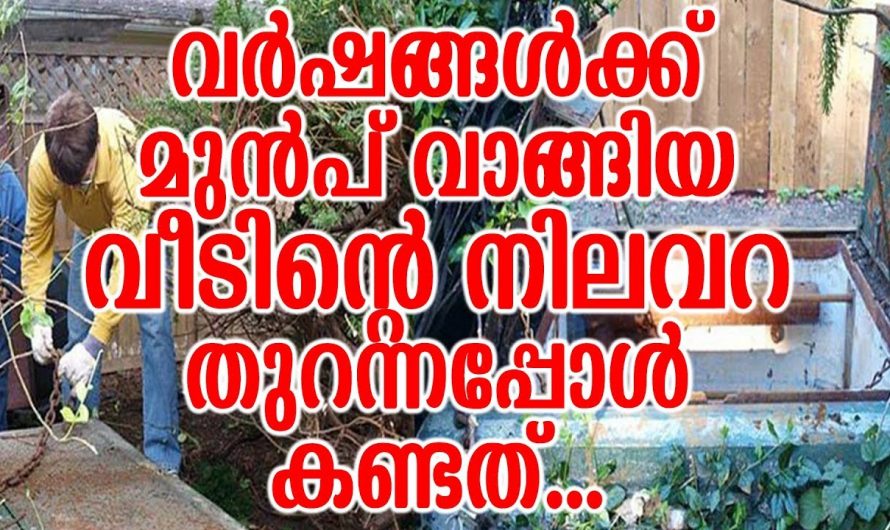 വർഷങ്ങളായി താമസിക്കുന്ന വീട്ടിലെ നിലവറ തുറന്നപ്പോൾ കണ്ടത് ഞെട്ടിക്കുന്ന നിധികൾ ഇതാ കണ്ടു നോക്കൂ.