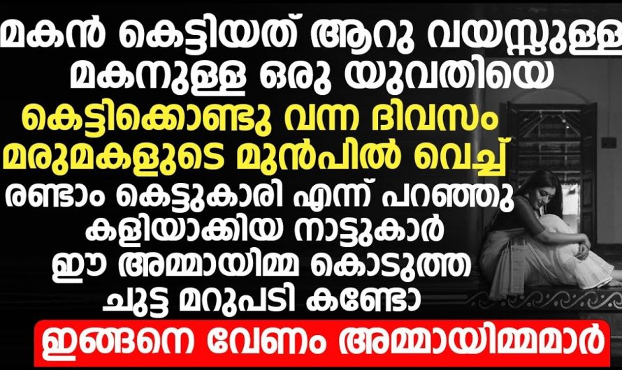 മകൻ കല്യാണം കഴിച്ചത് രണ്ടാംഘട്ട കാരിയെ ആണെന്ന് പറഞ്ഞു കളിയാക്കിയ നാട്ടുകാർക്ക് അമ്മ കൊടുത്ത മറുപടി കണ്ടോ. ഇതായിരിക്കണം അമ്മ.